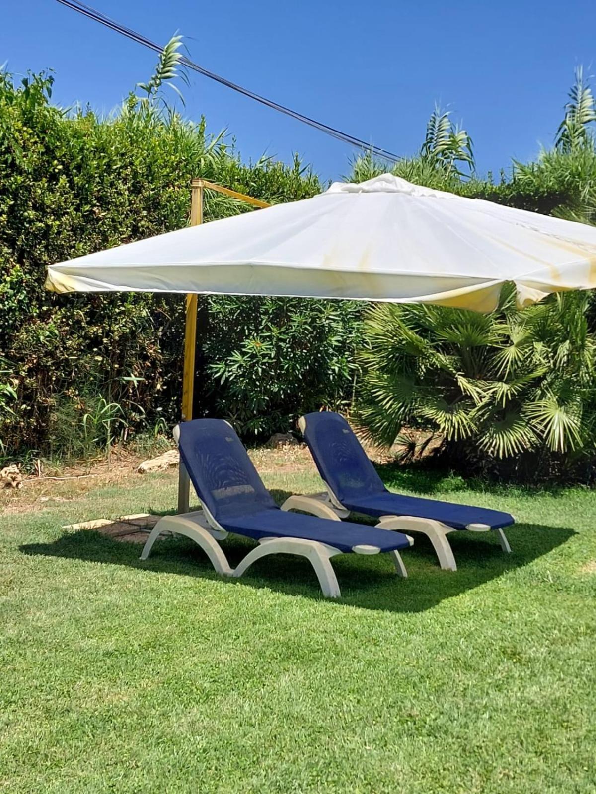 فيوميتشينو Modular King Suite - Intera Suite Vicino Aeroporto E Fiera Di Roma المظهر الخارجي الصورة